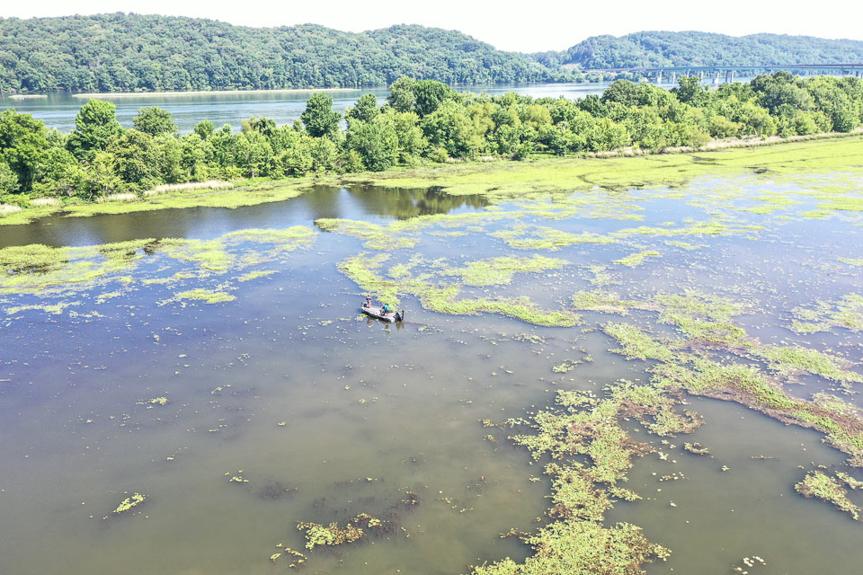 Healthy Guntersville set to kick off 2026 Bassmaster Elite season