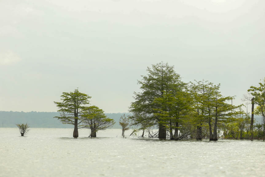 Rayburn will look different for College and youth events