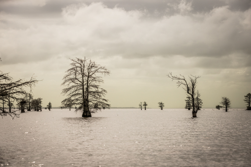 Shallow-water paradise awaits College Series at Santee Cooper